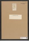 Tabellaria venter Ehr. (de-Toni-Nr.: Genus 89, Species 2996) Zeichnungen Sammlung Grunow Nr. 6094 (NHMW-BOT-W0374635)